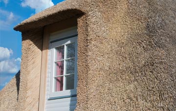 Trims Green thatch roof disadvantages